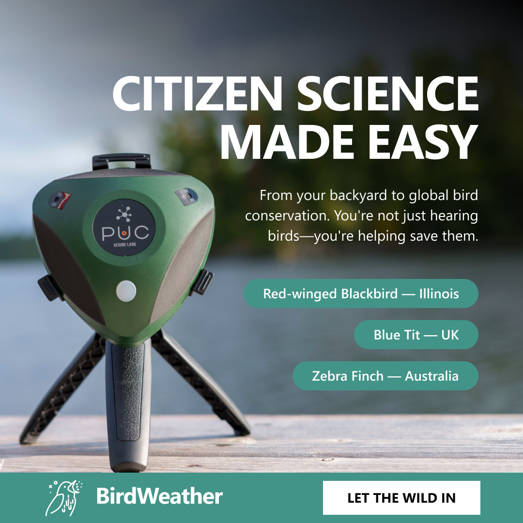 BirdWeather Facebook ad