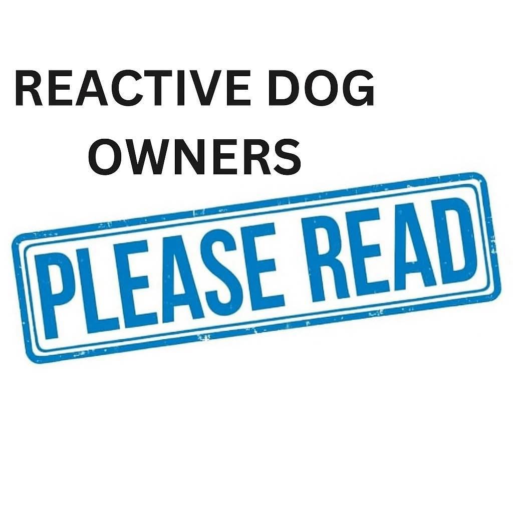 Anthony Rogers - Dog Behaviour Facebook ad: Is your dog's reactive behaviour getting out of…