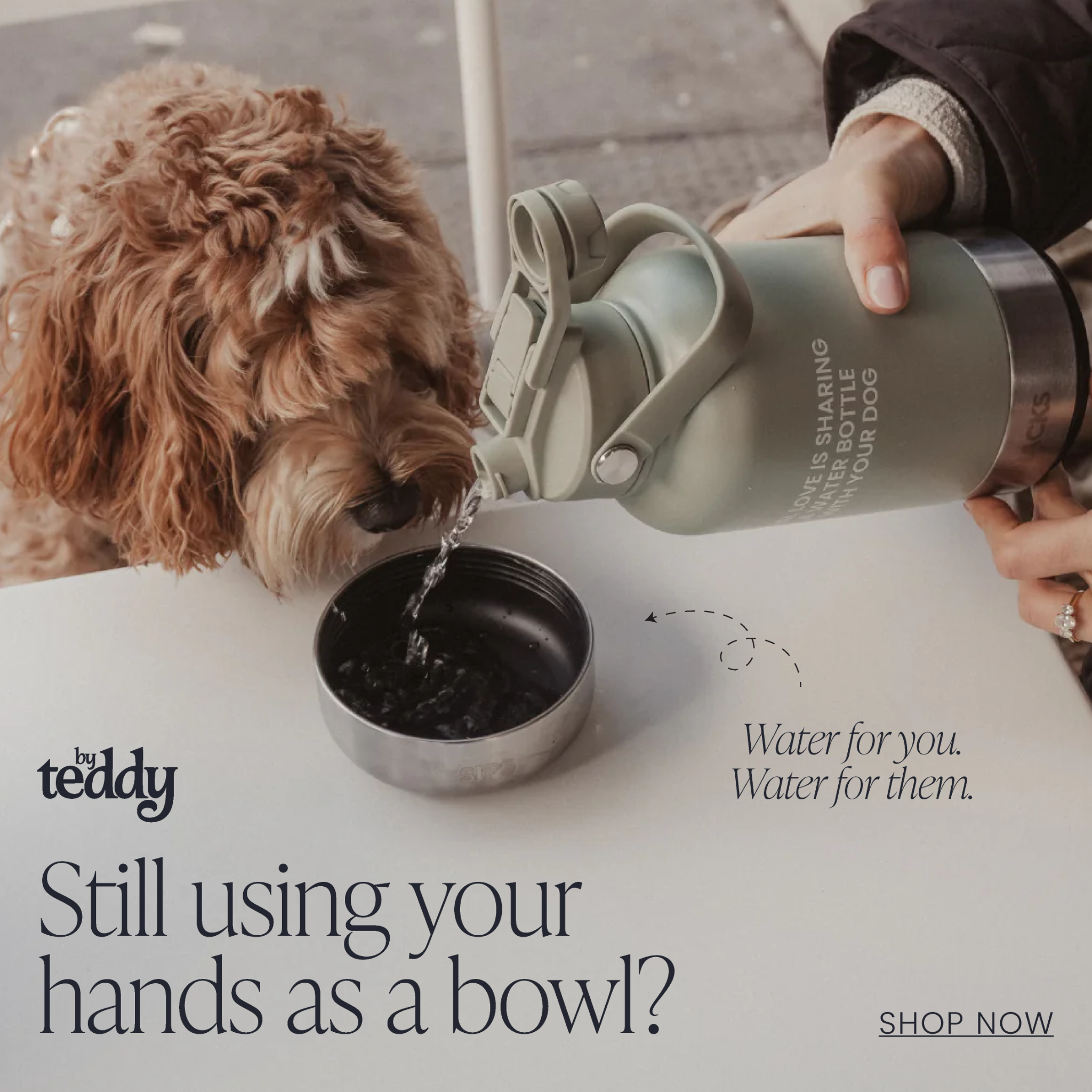 By Teddy Facebook ad
