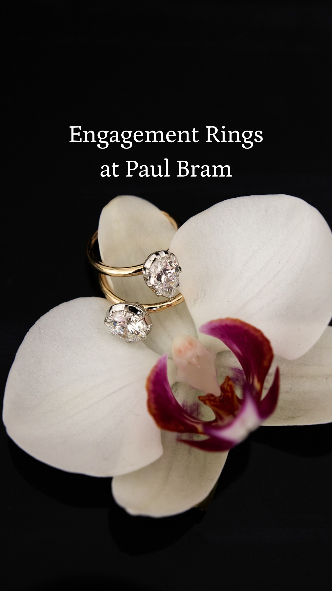 Paul Bram Facebook ad from Sep 22, 2025