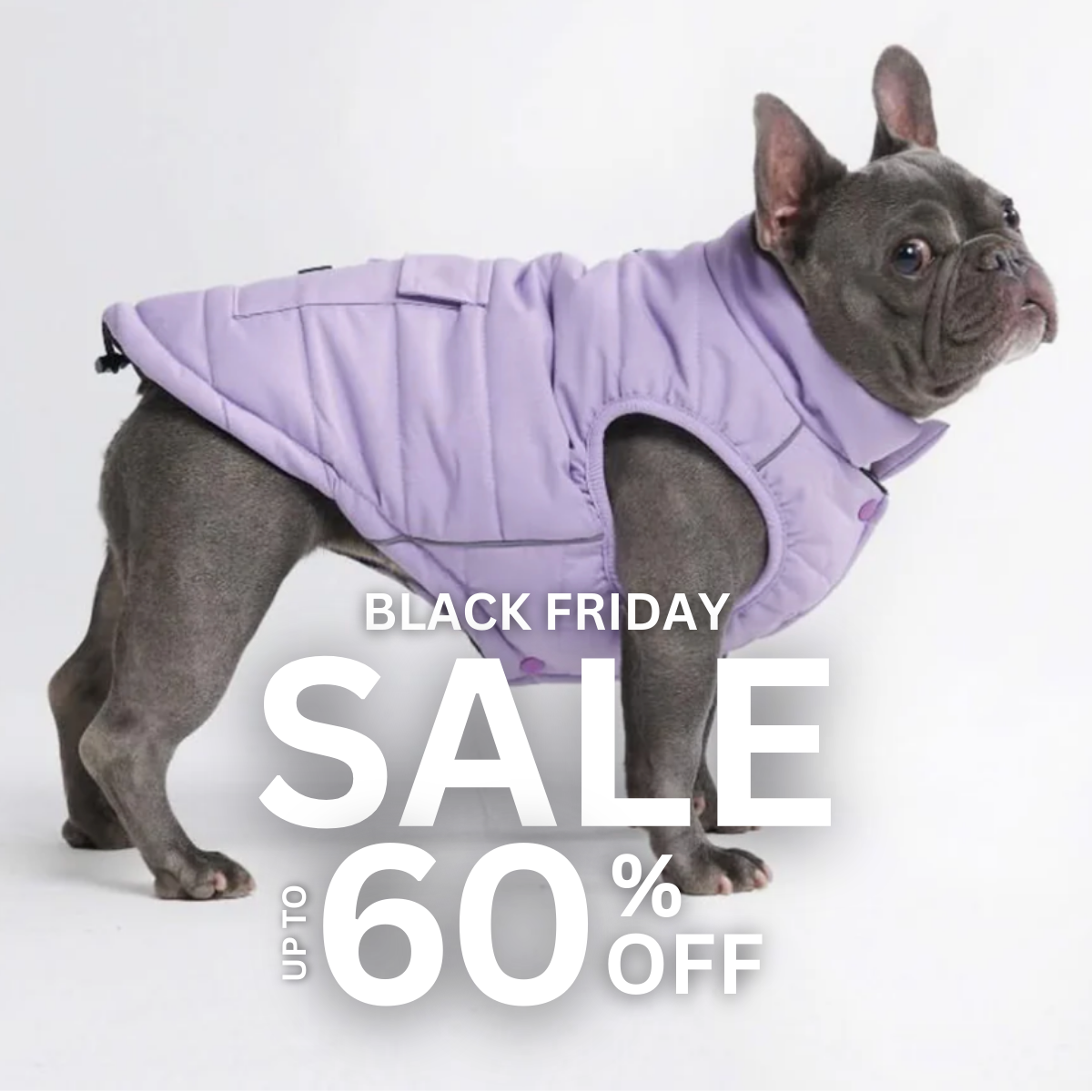 Spark Paws Facebook ad