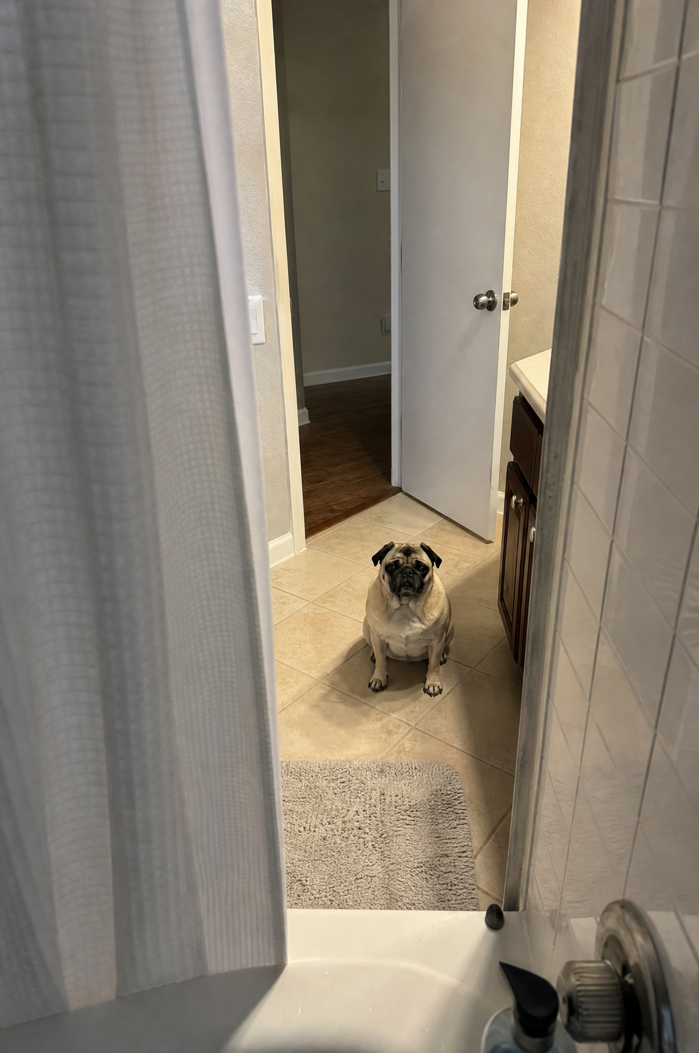 Dogs Are Pawsome Facebook ad: Read this if you own a Pug