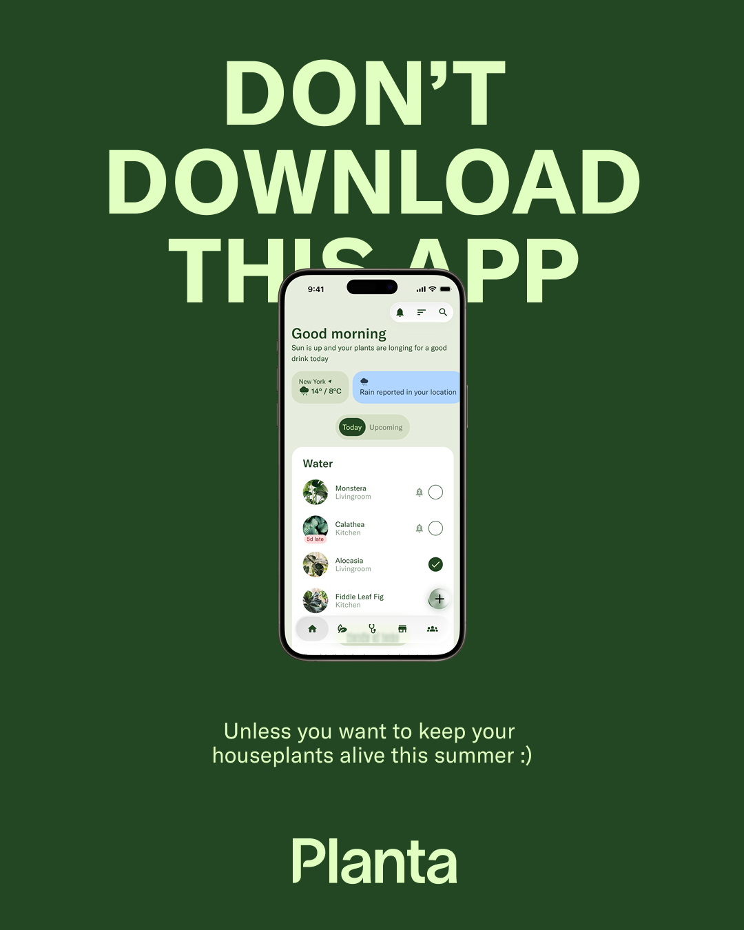 Planta Facebook ad