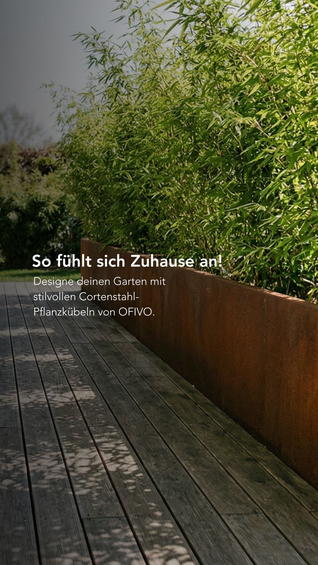 OFIVO Facebook ad