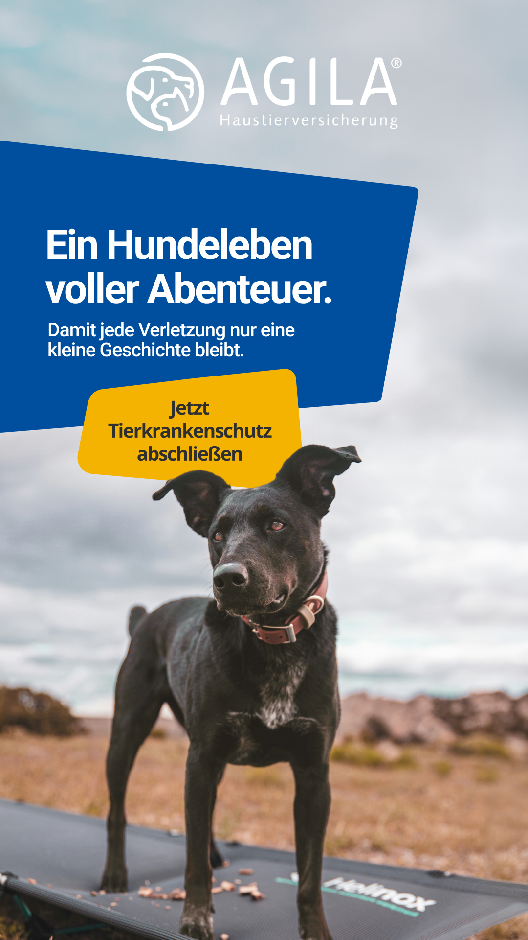 AGILA Haustierversicherung Facebook ad