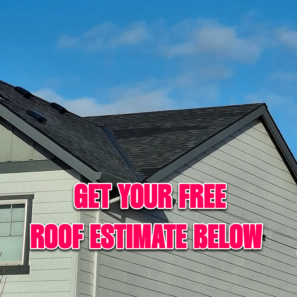Roof Replacement Program Facebook ad