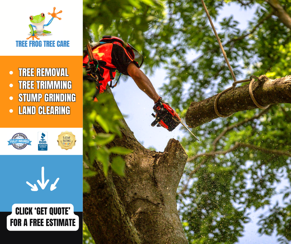 Tree Frog Tree Care Facebook ad from Sep 11, 2025