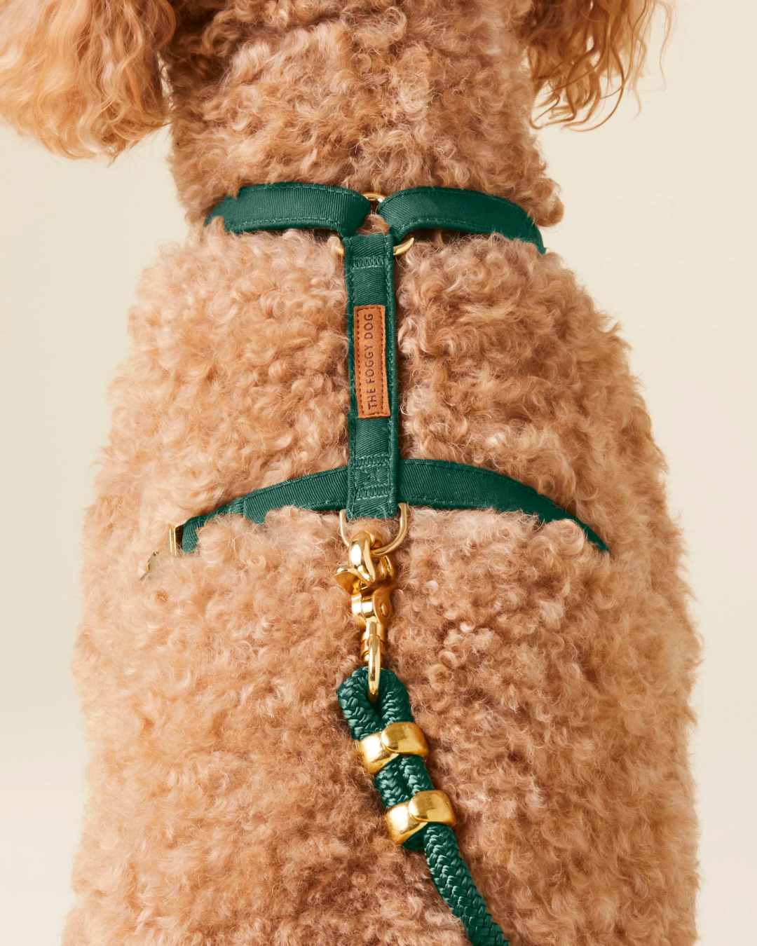 The Foggy Dog Facebook ad