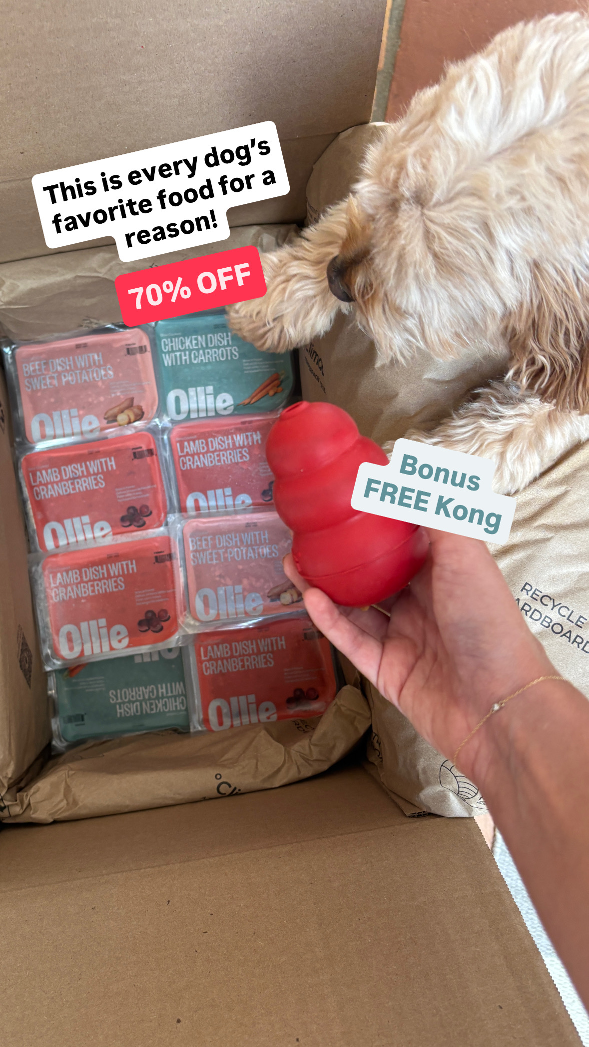 Ollie Facebook ad