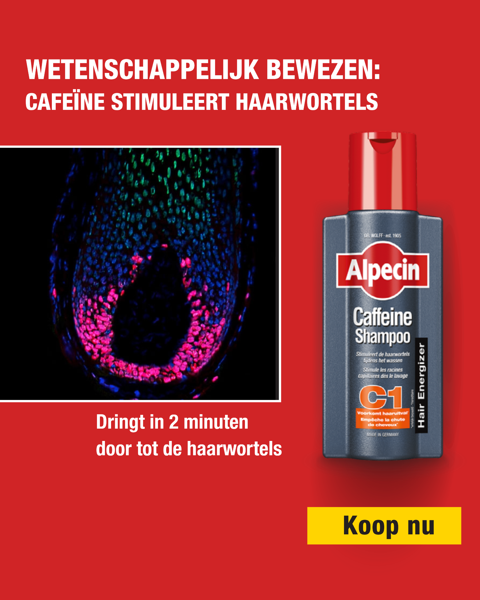 Alpecin Facebook ad