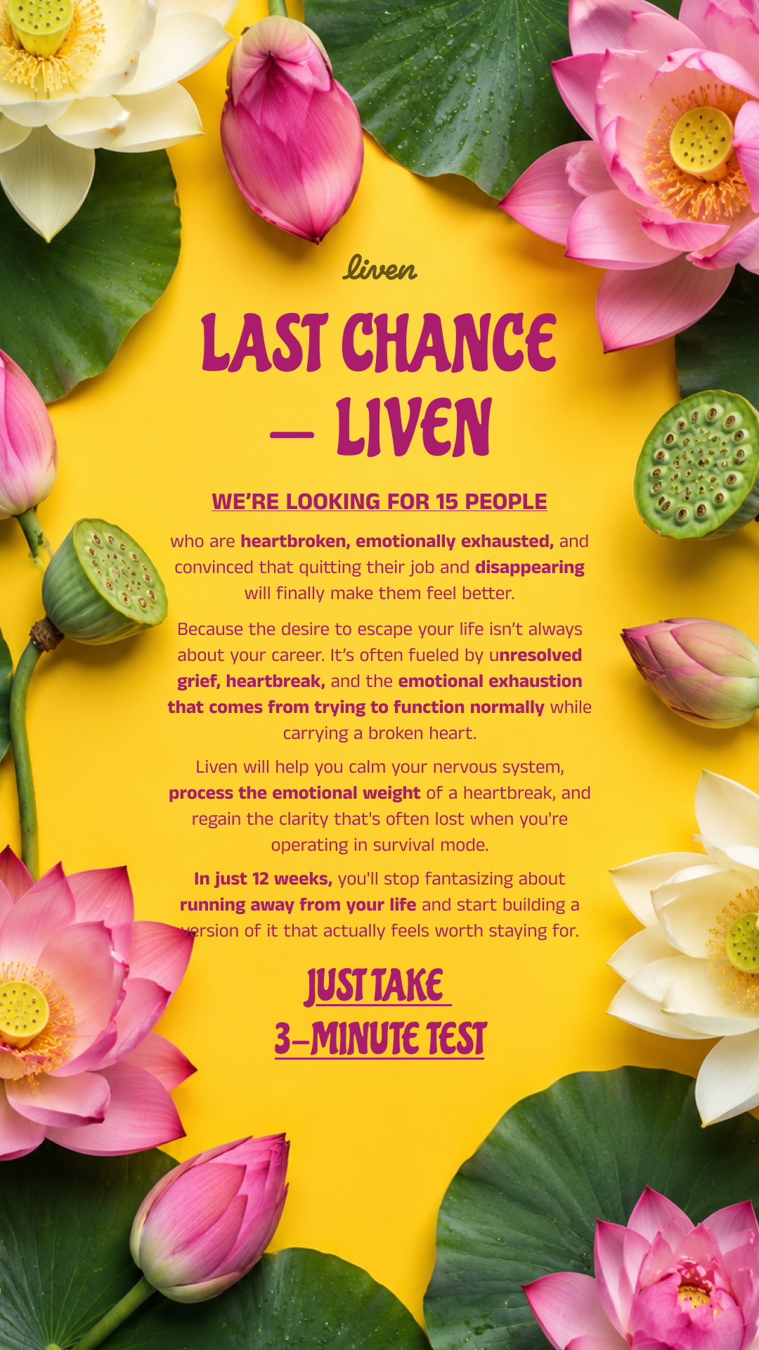 Liven: Self-Discovery Community Facebook ad