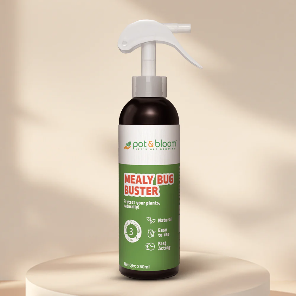 Pot and Bloom Facebook ad: Finally, a bug spray that doesn't smell like…