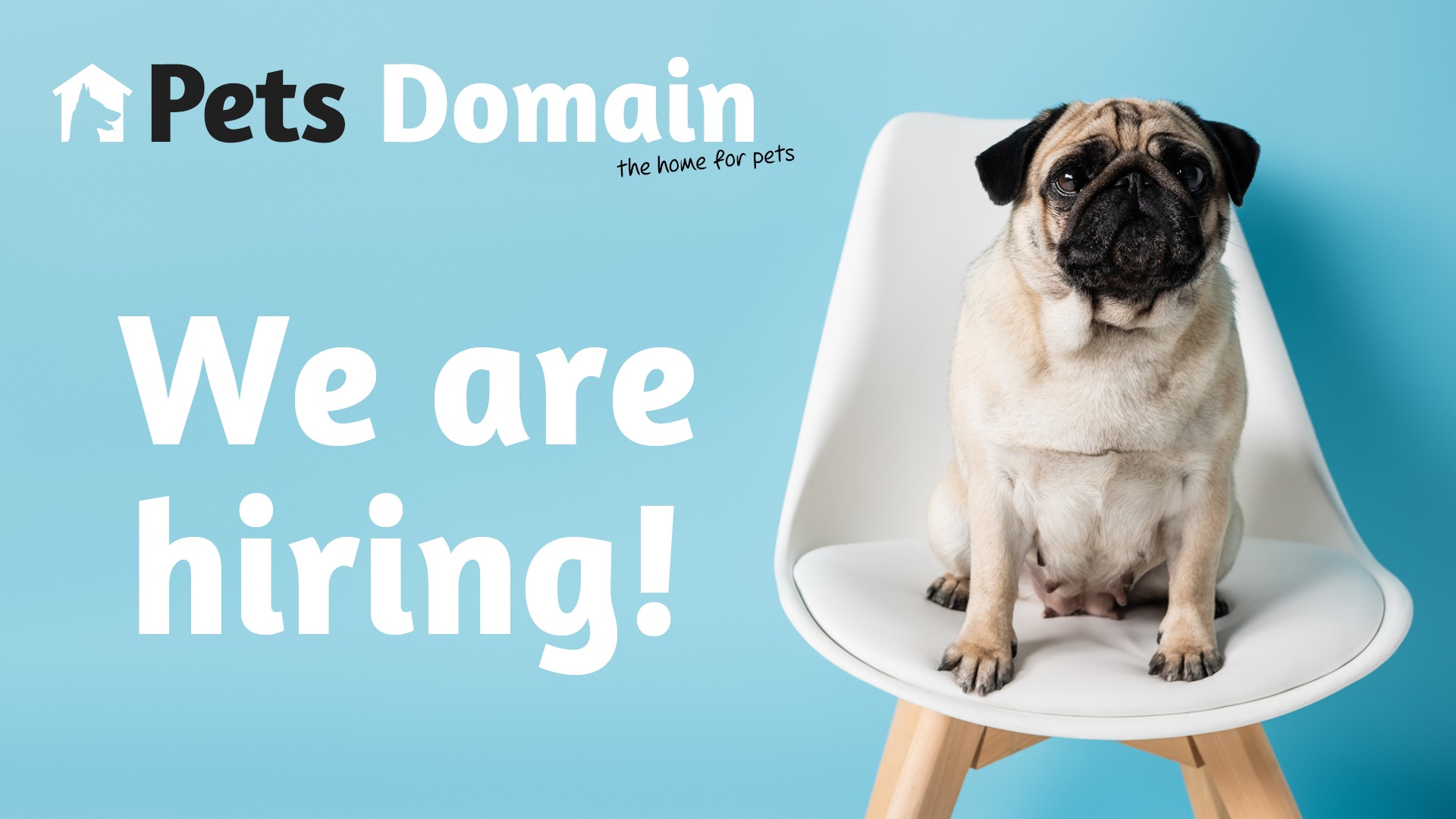 Pets Domain Echuca Facebook ad: Pet Shop | Pet Supplies Online & In-store