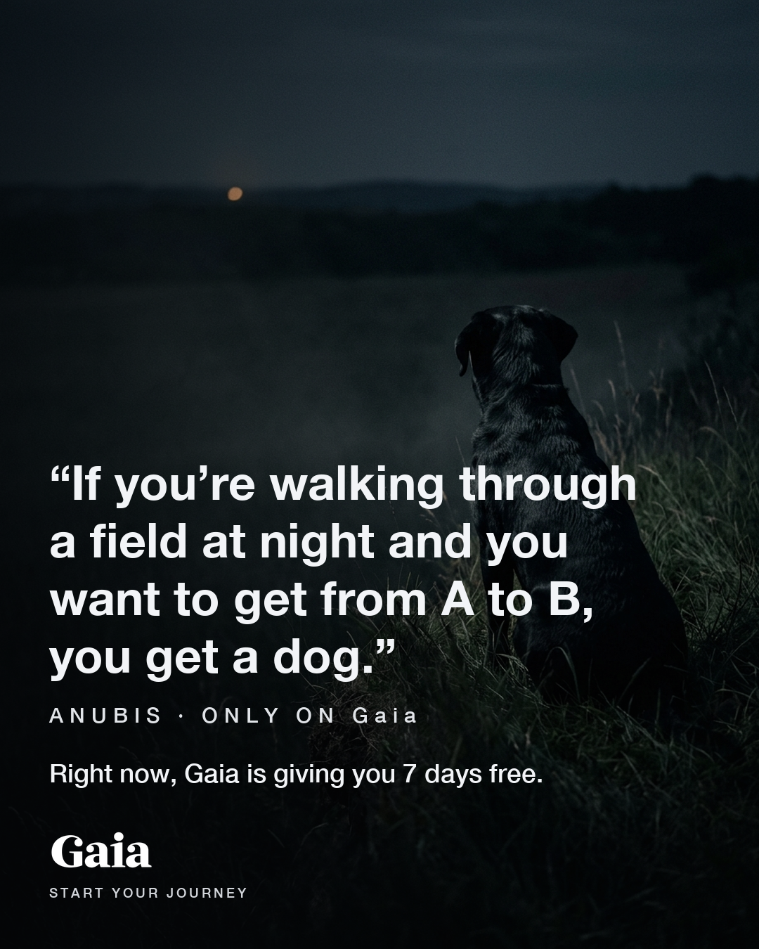 Gaia Facebook ad