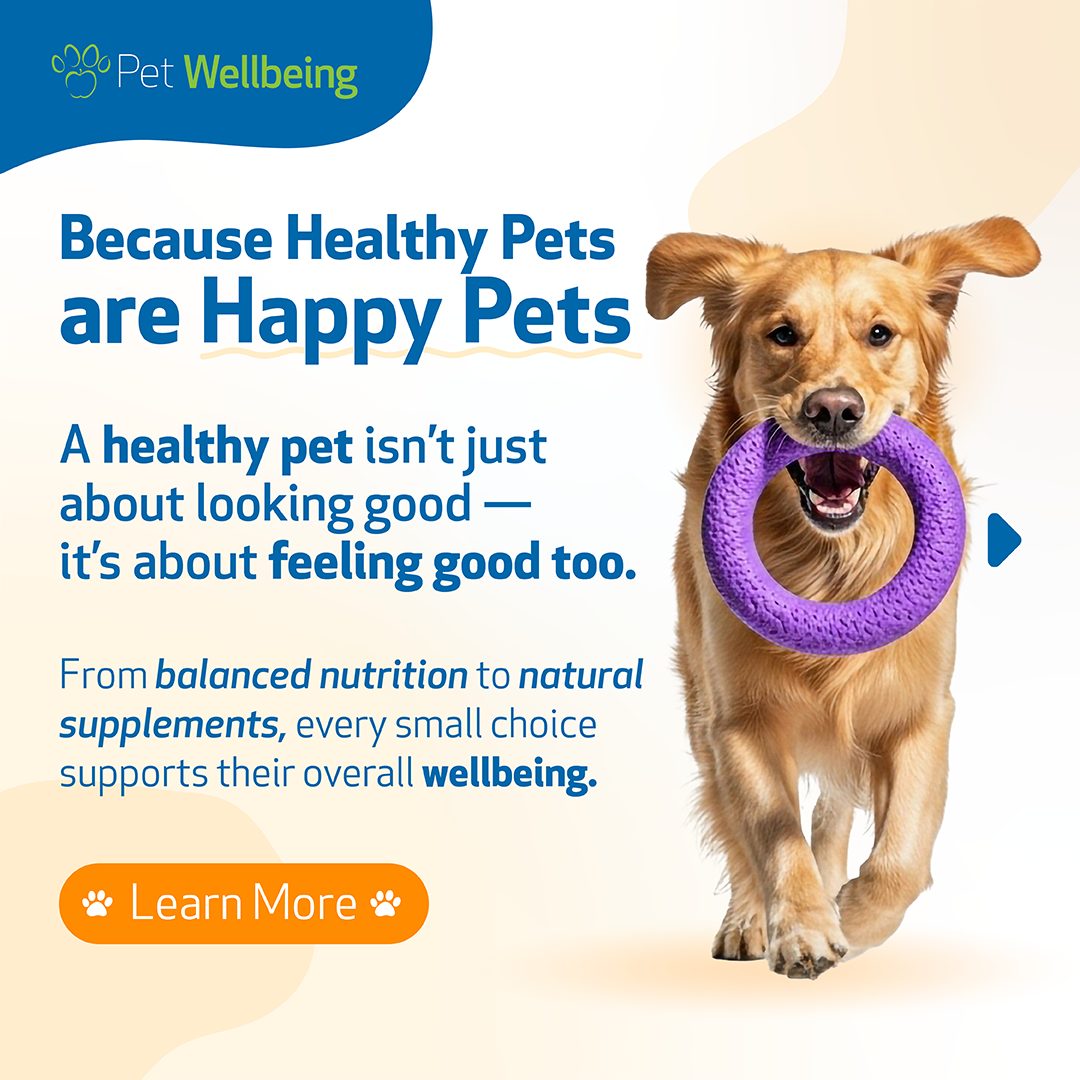 Pet Wellbeing Facebook ad
