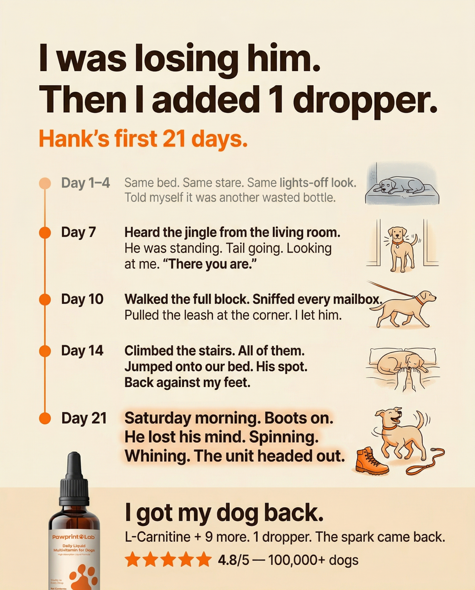 Vet-Approved Pet Products Facebook ad