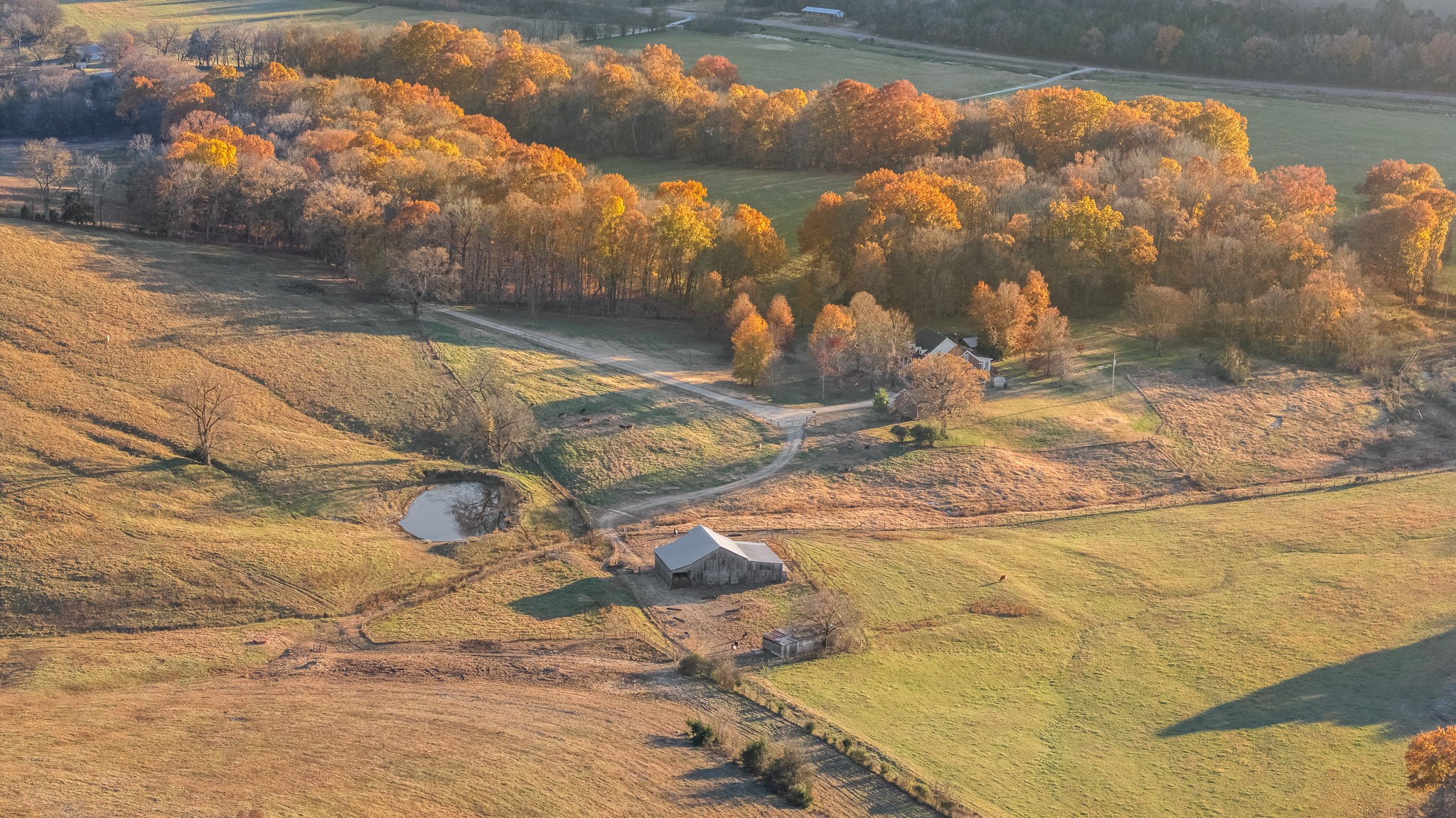 Van Massey Auction & Realty Facebook ad: A truly REMARKABLE property!
