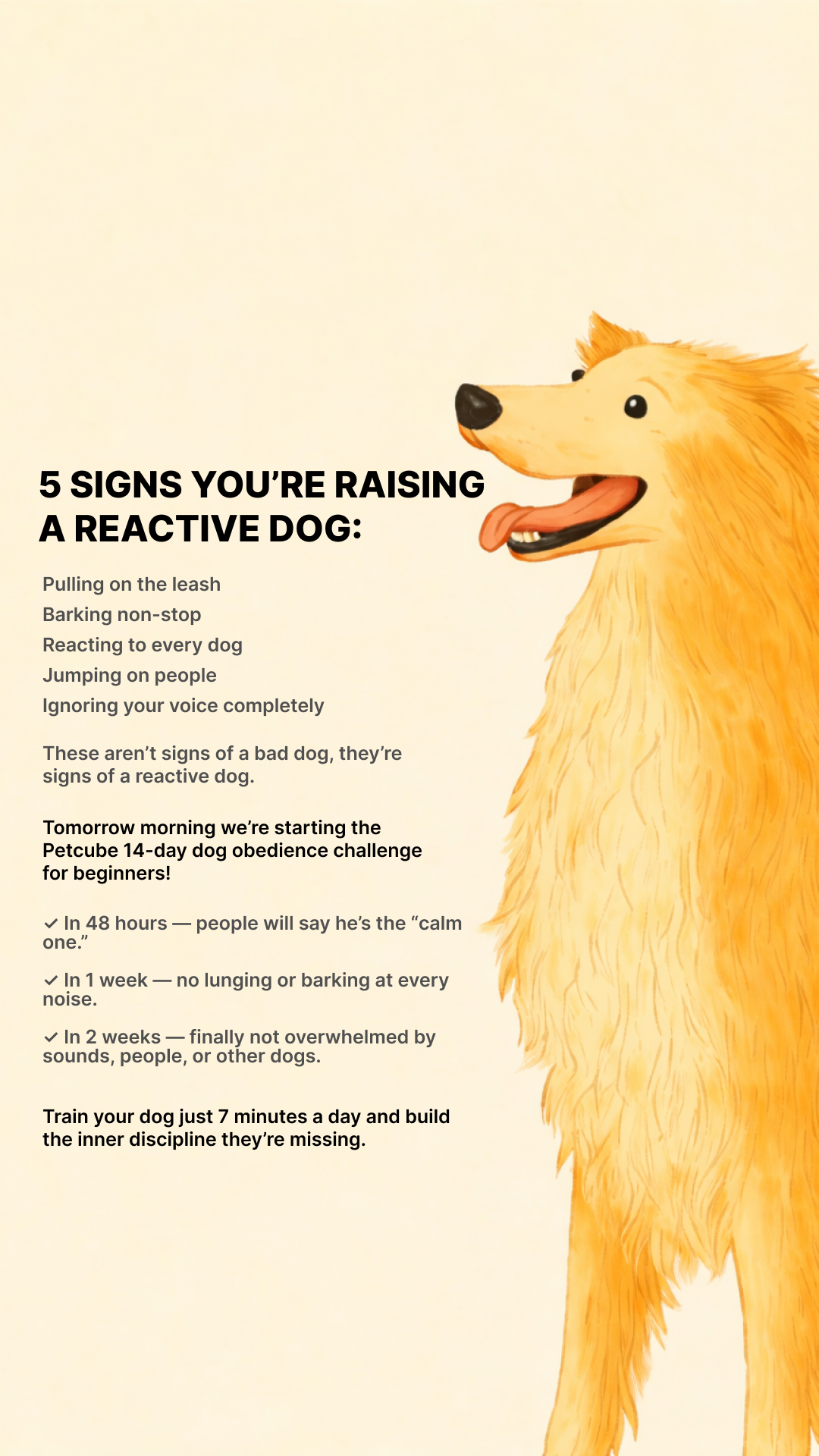 Petcube Facebook ad
