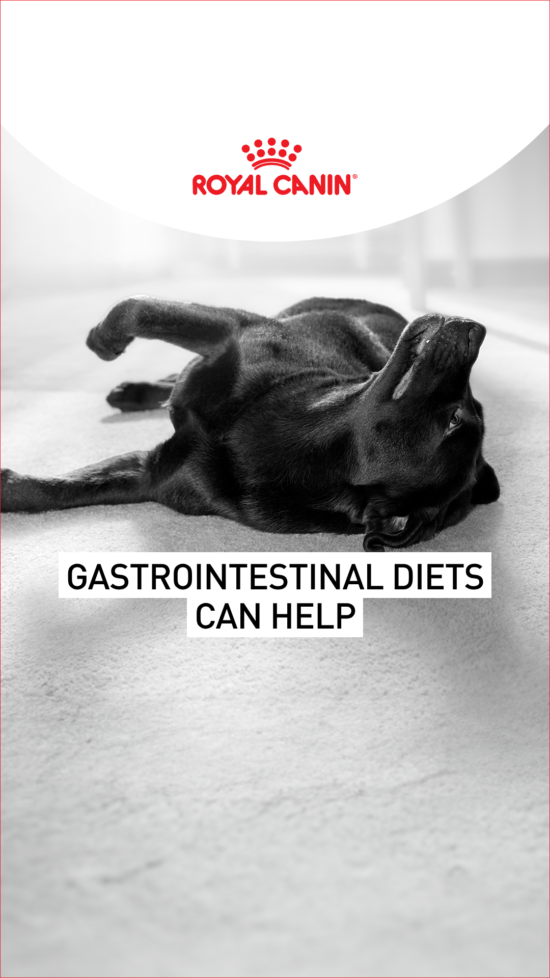 Royal Canin Facebook ad