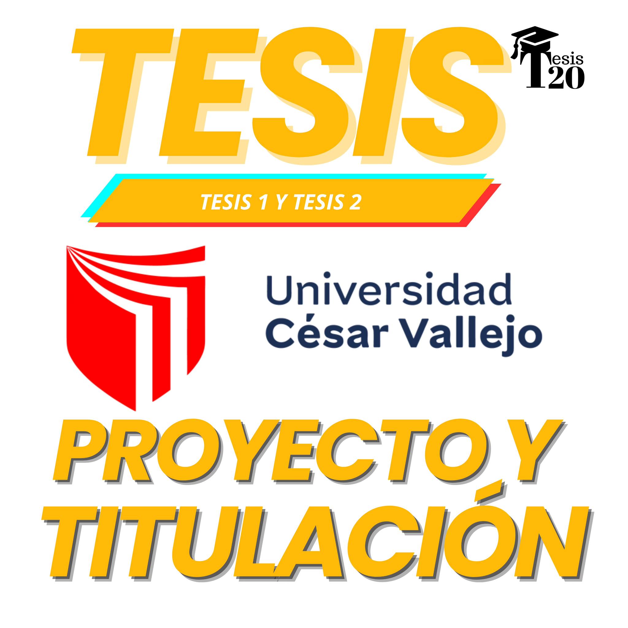 Tesis20 Facebook ad: ¿Estás atrasado en tu tesis?