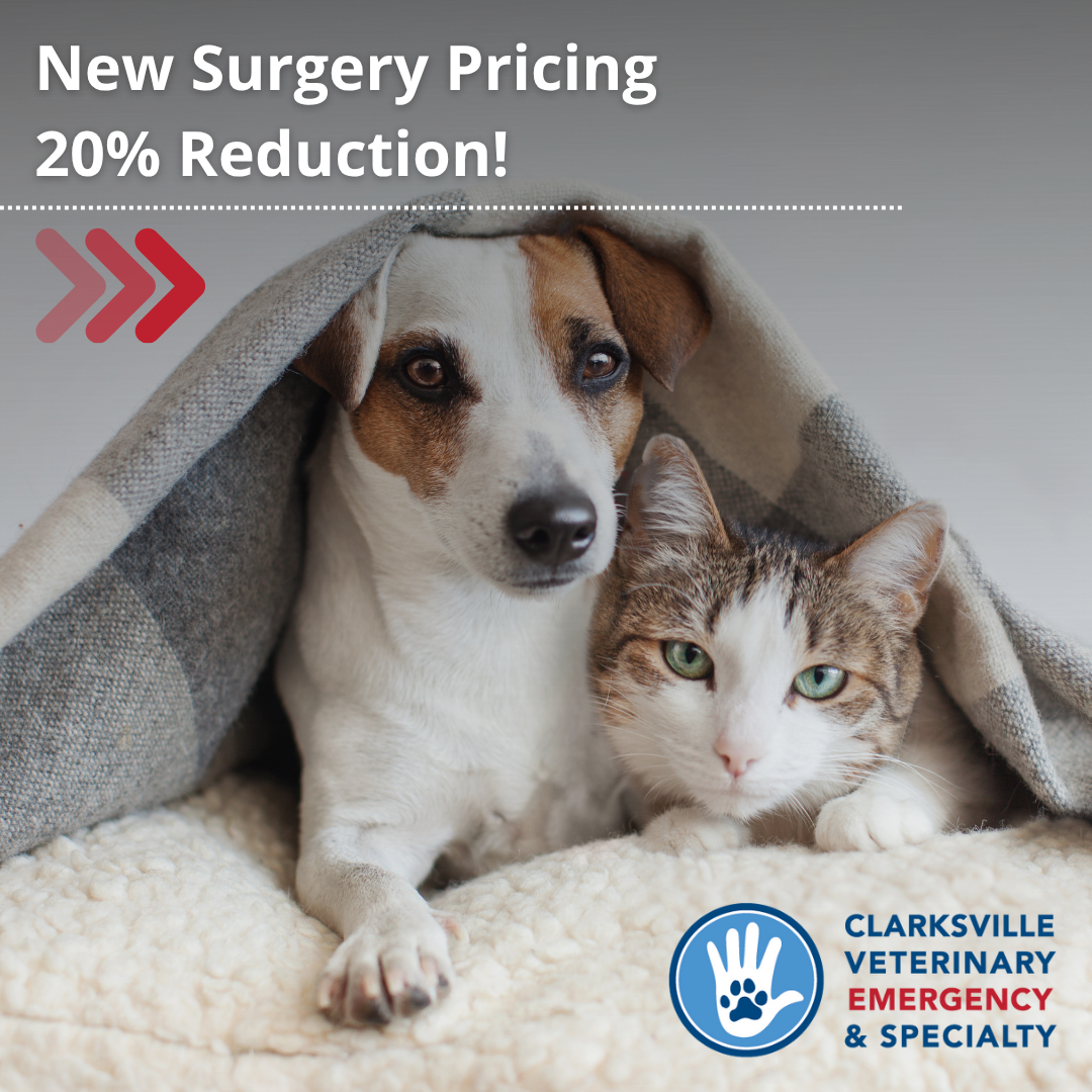 Clarksville Veterinary Emergency & Specialty Facebook ad: At CVES, we believe every pet deserves access…