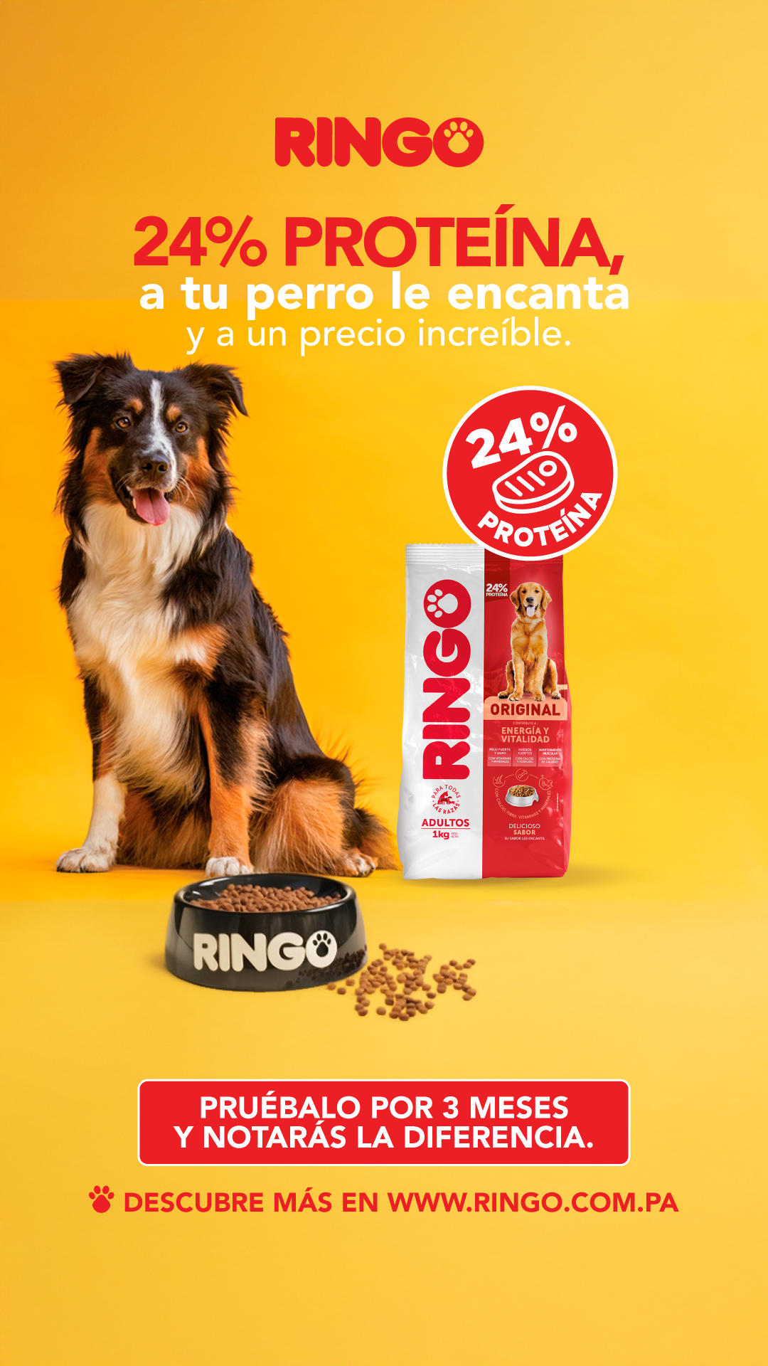 EfectoRingo Facebook ad
