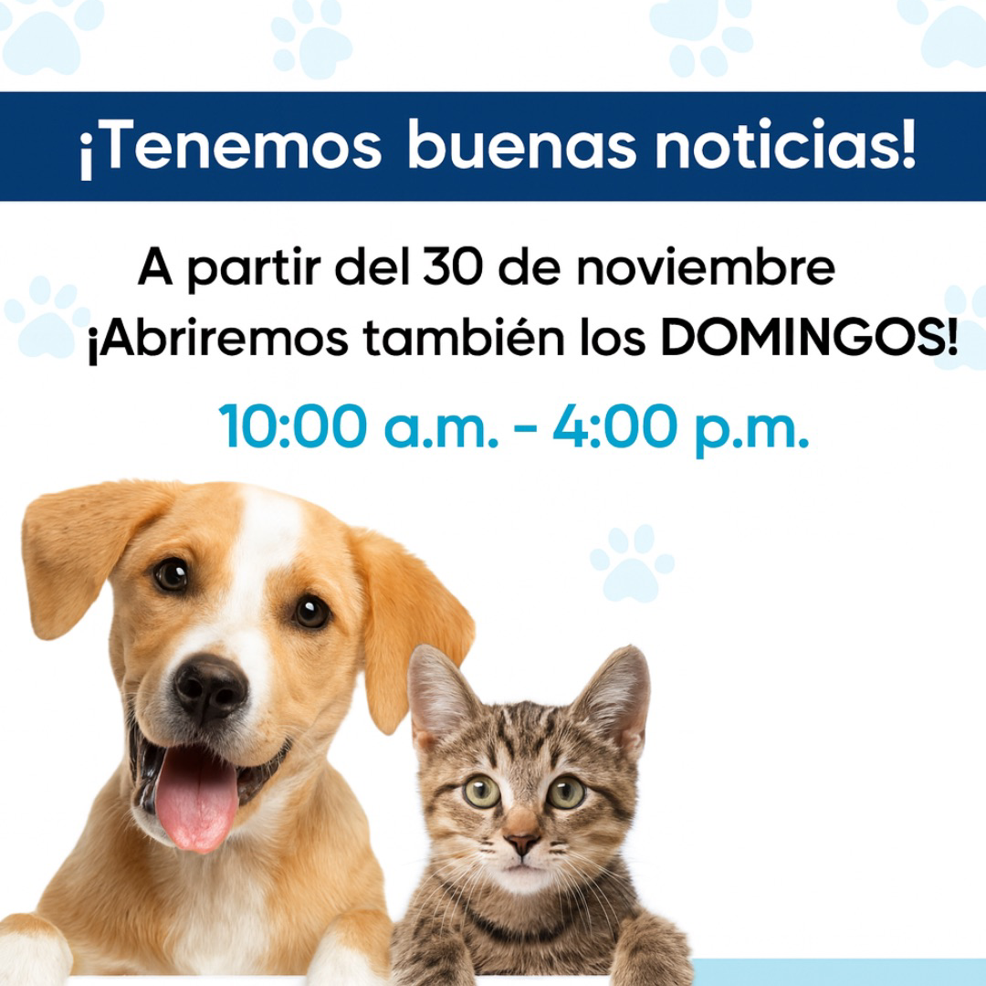 VetePlus Facebook ad: Agencia MD Tours