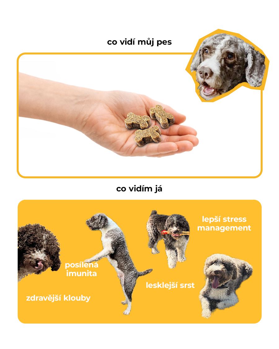 Brit Facebook ad