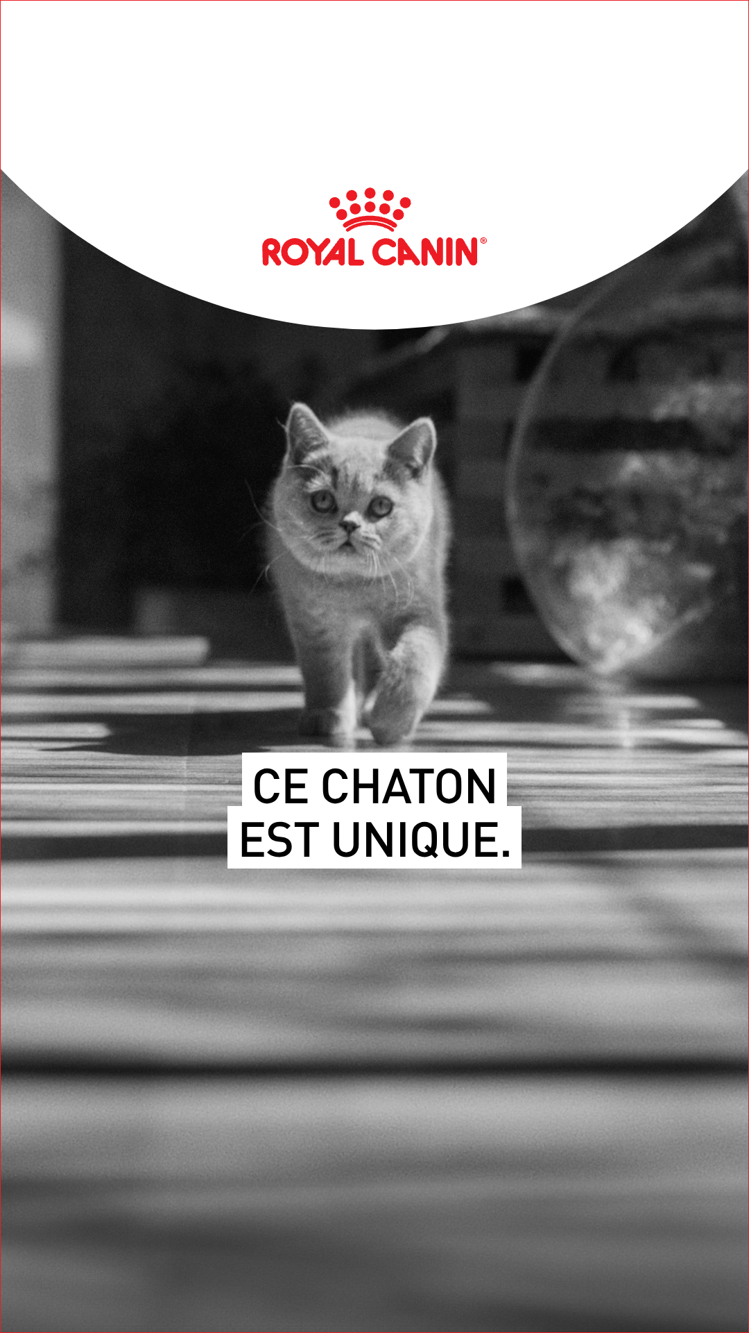 Royal Canin Facebook ad