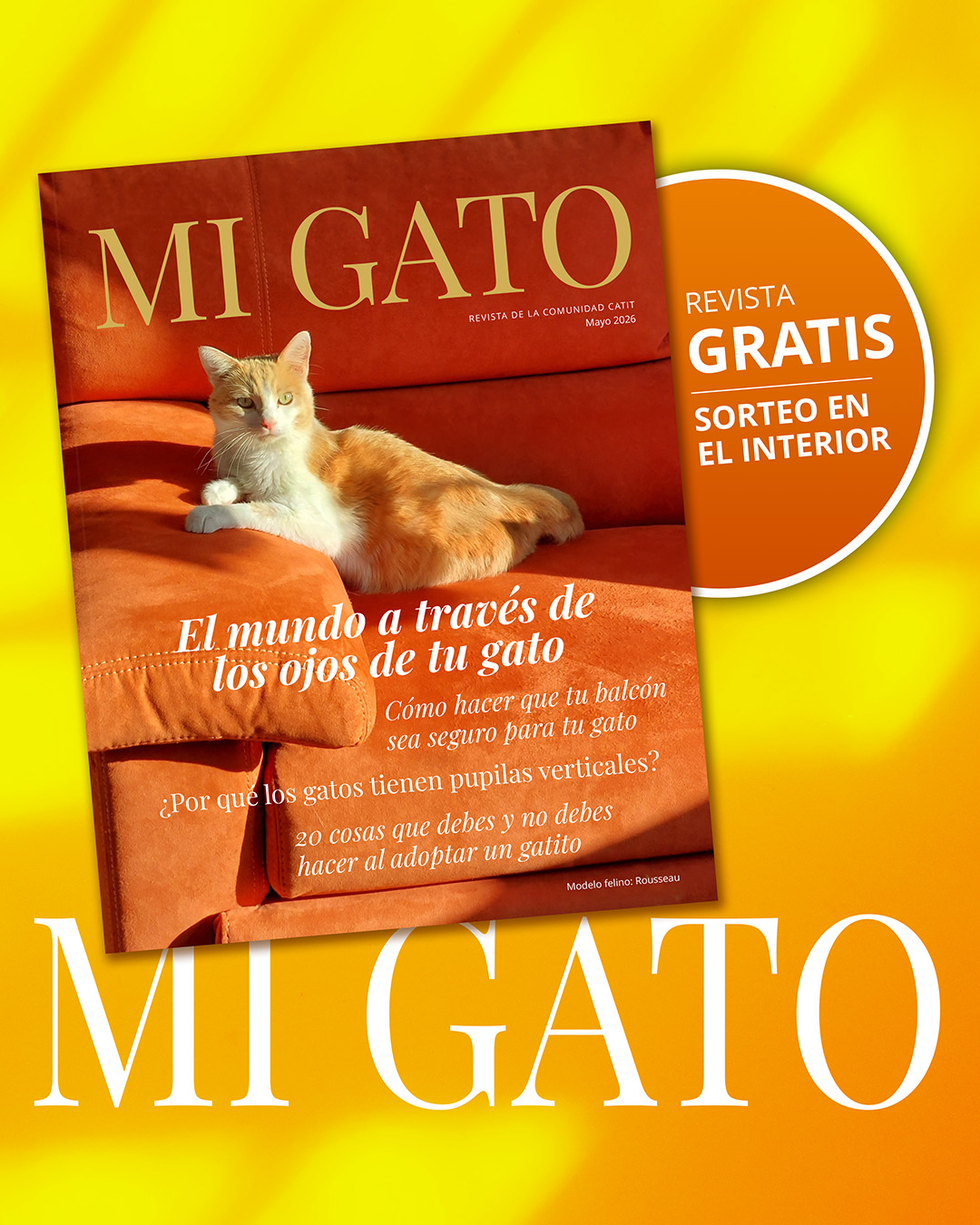 Catit España Facebook ad