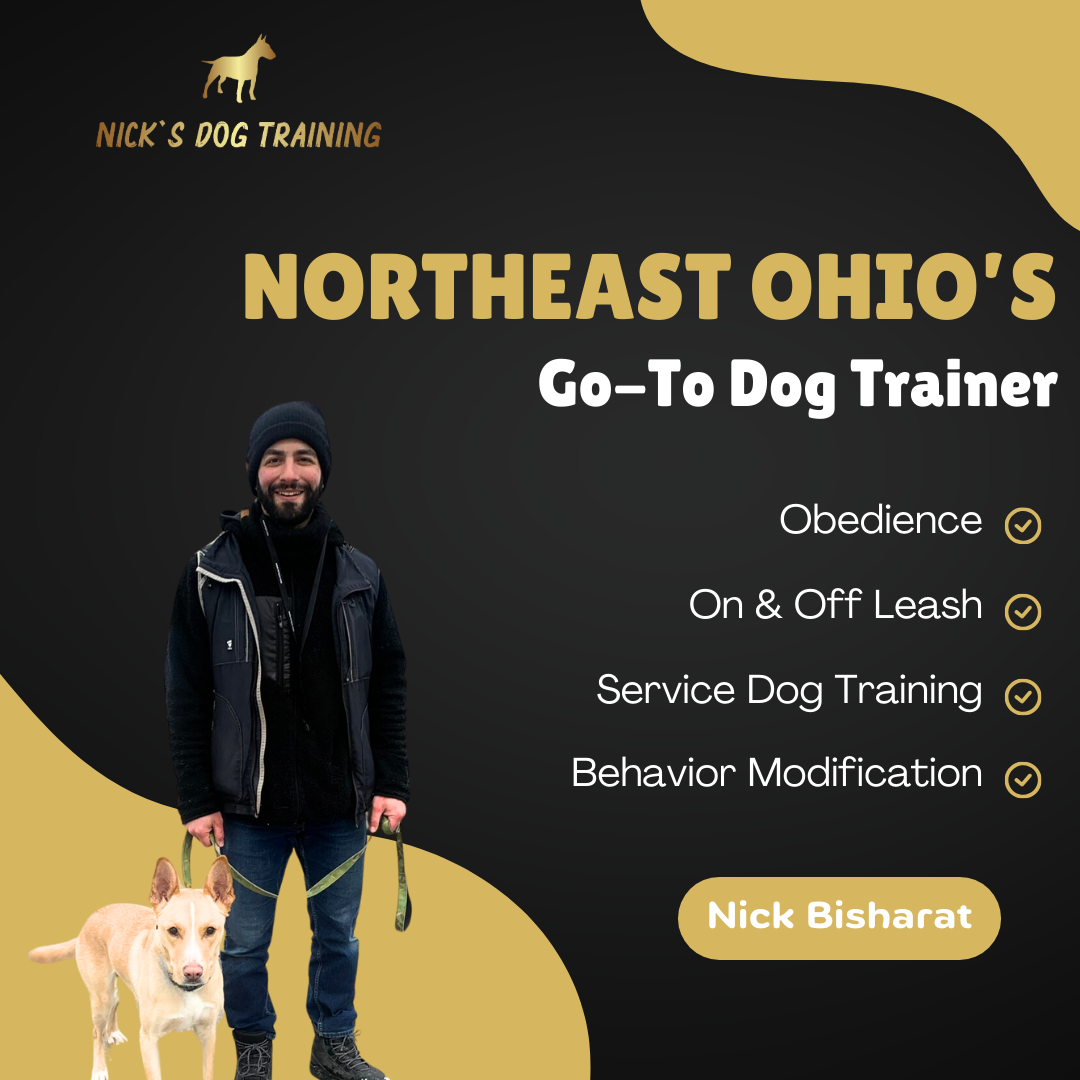 Nick's Dog Training Facebook ad: Northeast Ohio's Most Trusted Trainer For 9+ Years