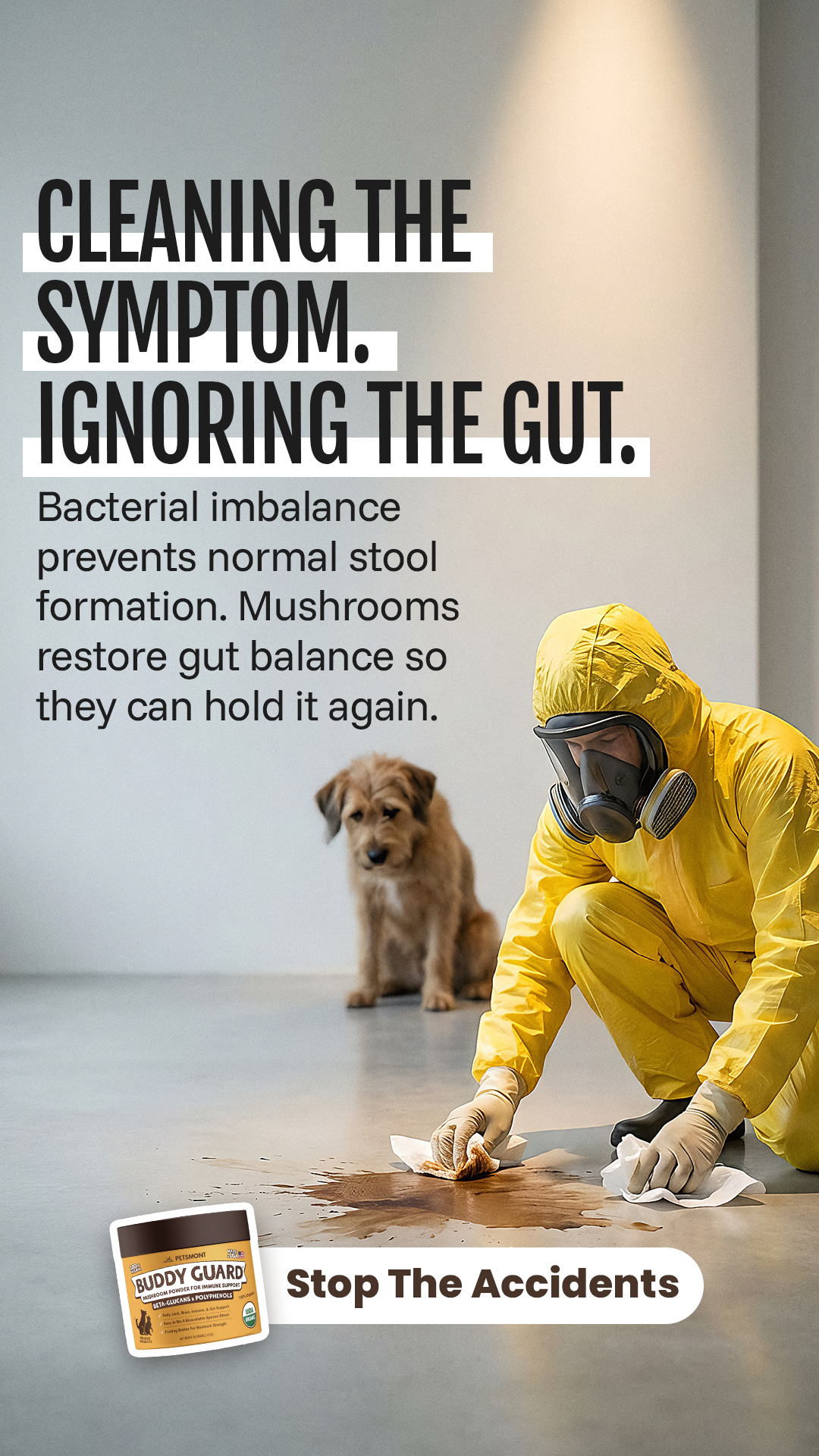 Petsmont Facebook ad