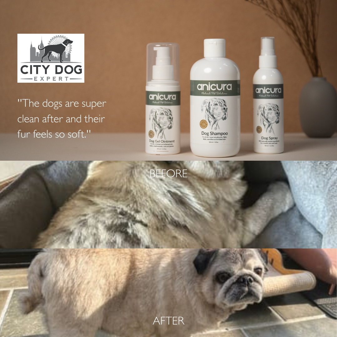 Anicura Natural Pet Solutions Facebook ad