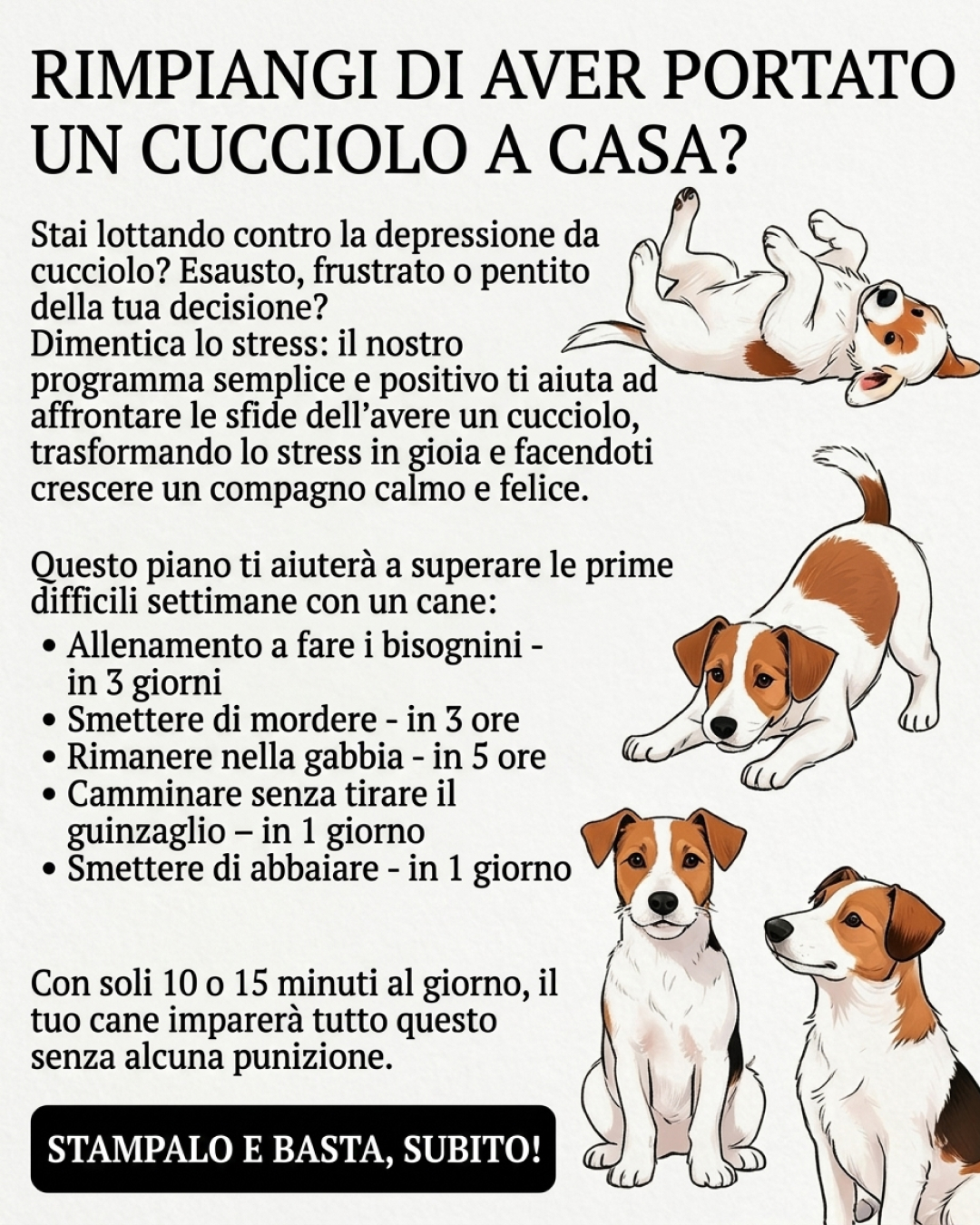 Jake Collins Facebook ad: L’app n.1 per l’addestramento dei cani