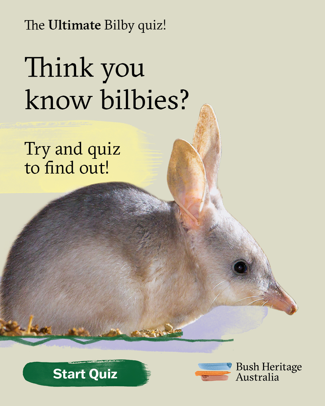 Bush Heritage Australia Facebook ad: Take the quiz and test your bilby knowledge!
