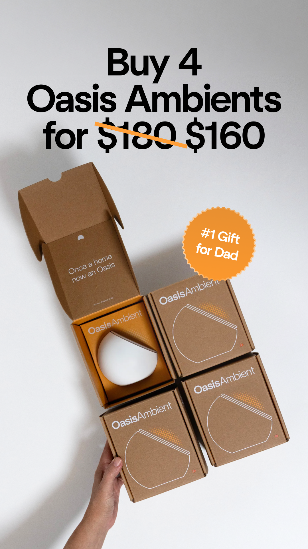 Oasis Lighting Facebook ad