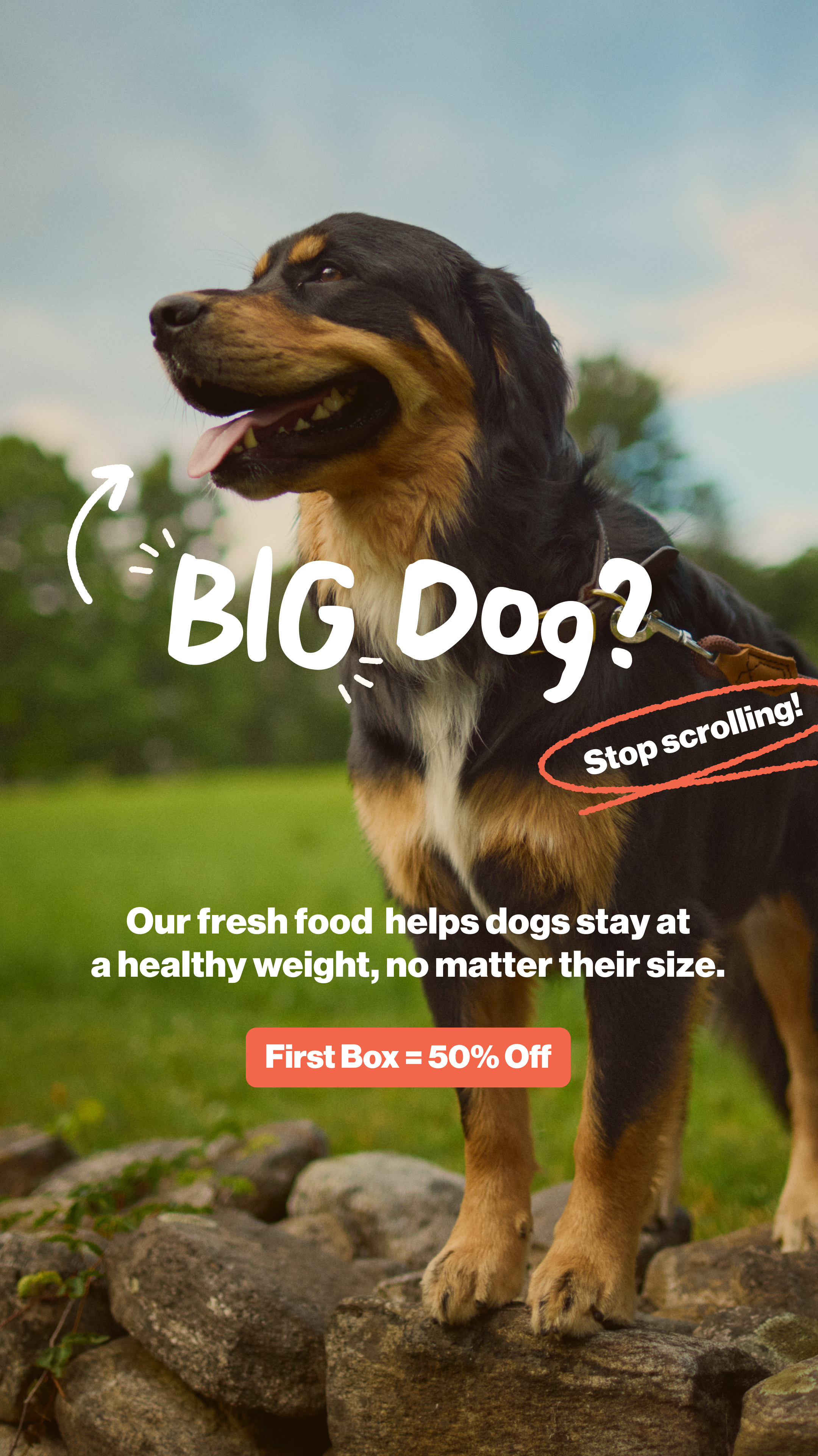 The Farmer's Dog Facebook ad
