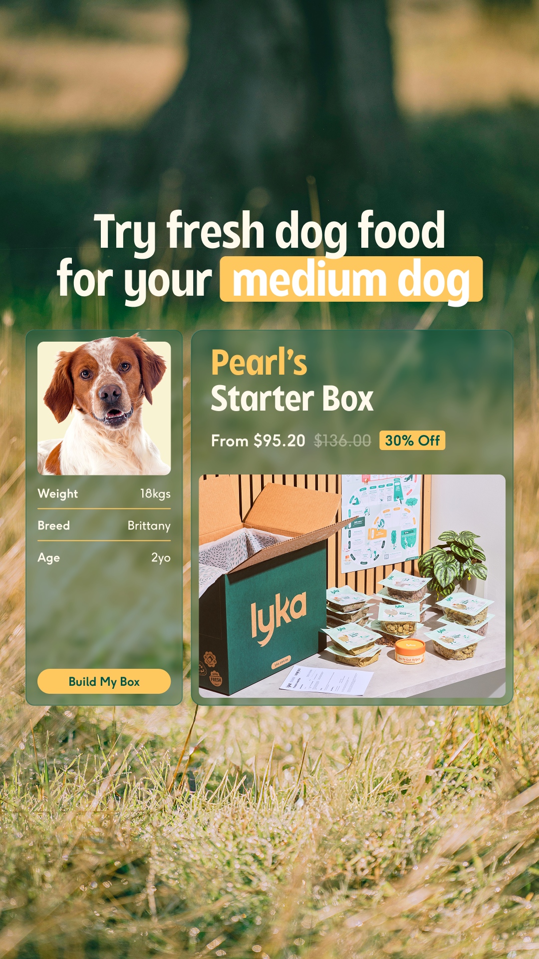Lyka Pet Food Facebook ad