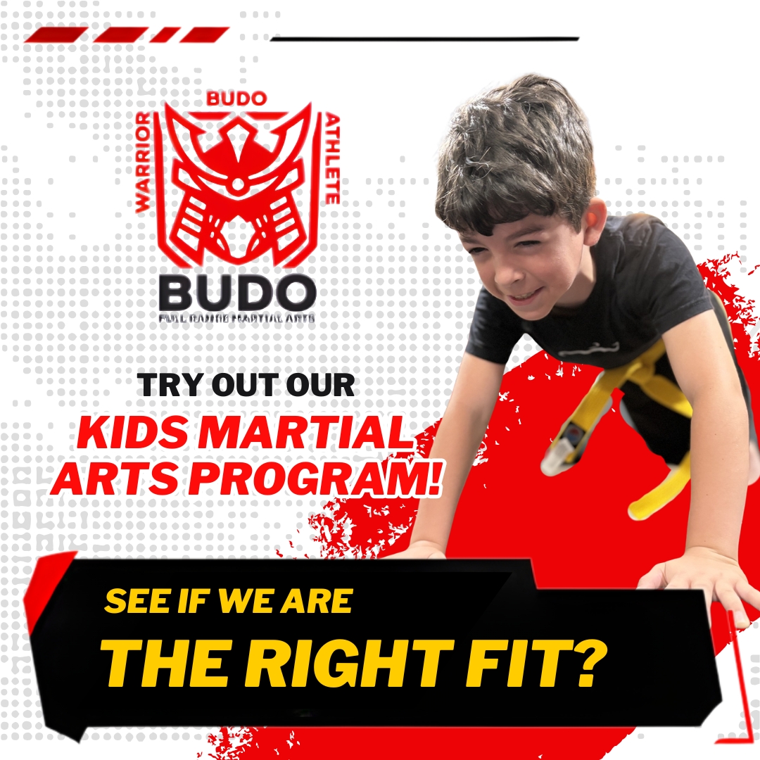 Budo Voorhees Martial Arts Facebook ad: Reserve Your Child’s Spot