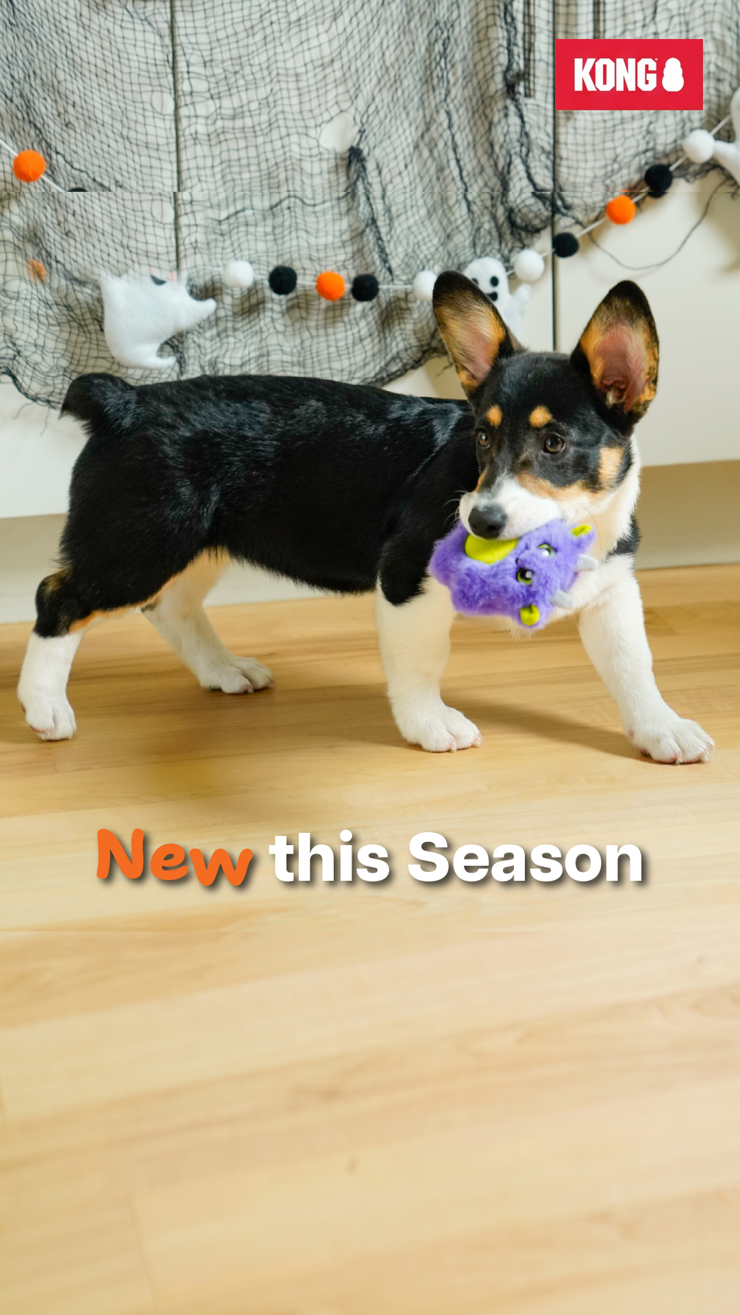 KONG Facebook ad: Seasonal Look. Same Cuddle.