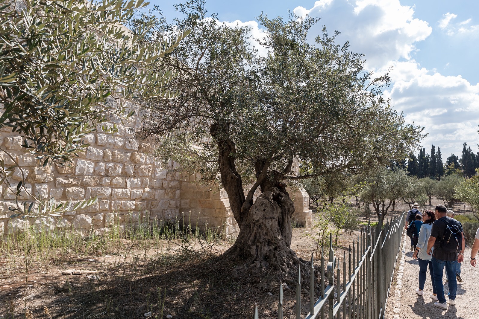 Israel Tourism Consultants Facebook ad from May 19, 2025