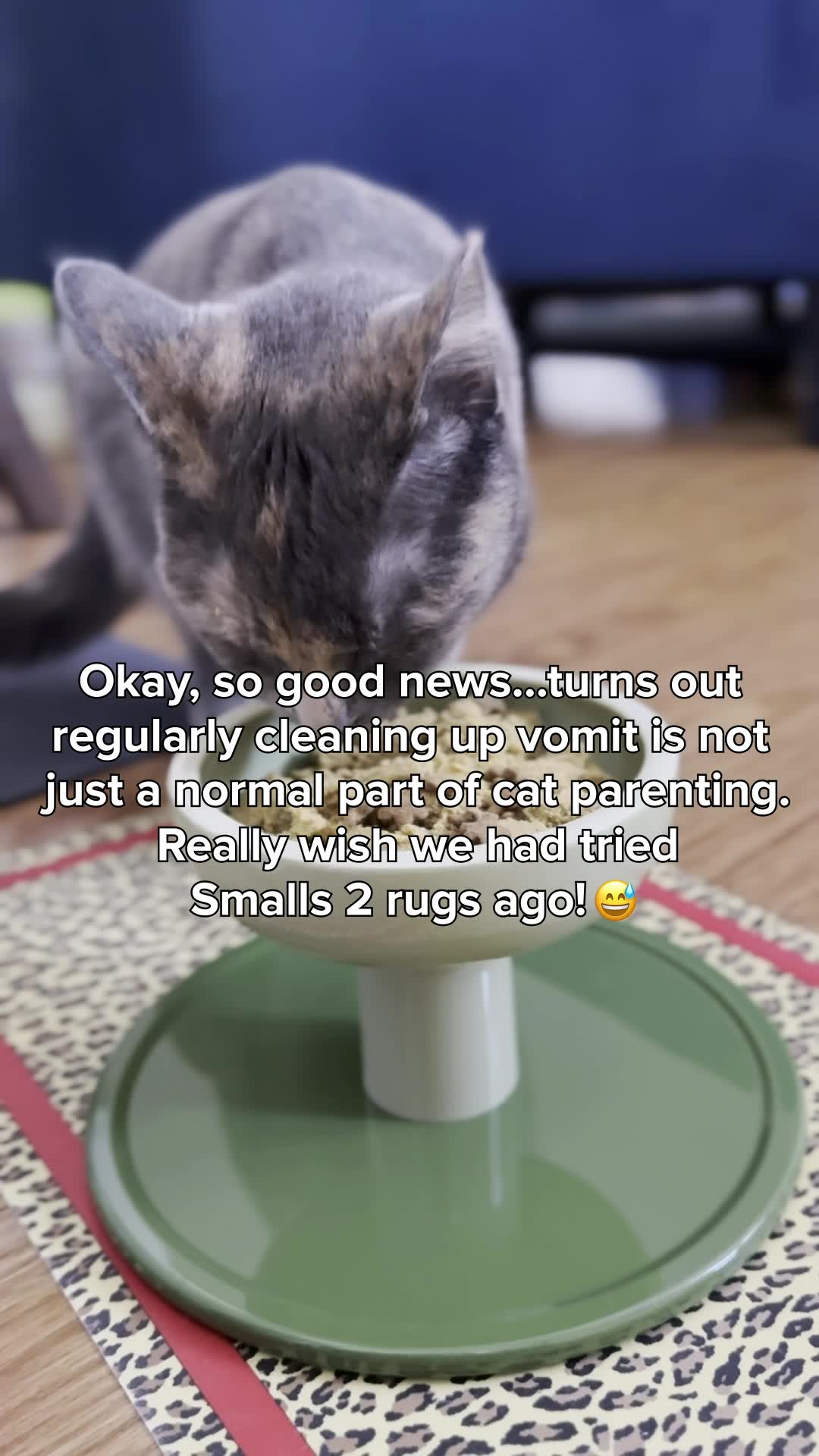 Smalls Facebook ad from Sep 11, 2026