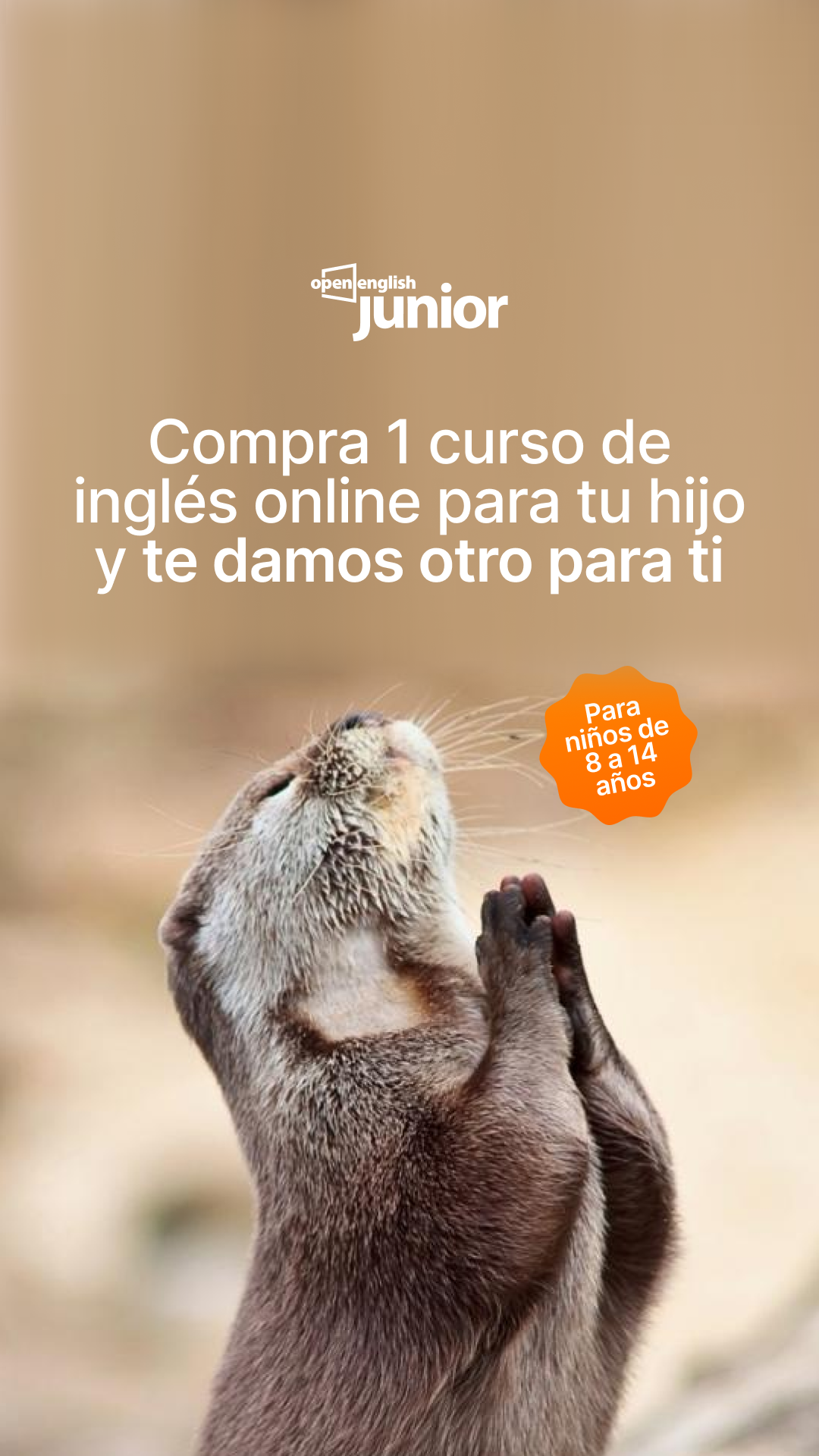 Open English Junior Facebook ad