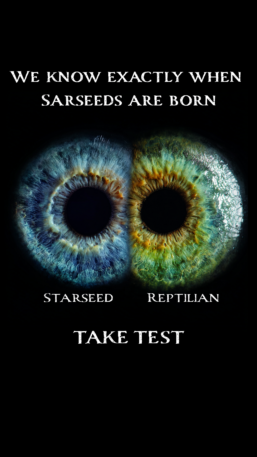 Nebula: Horoscope & Compatibility Facebook ad: Reveal Your Soul’s Galactic Origin