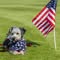 Vets to Vets United, Inc