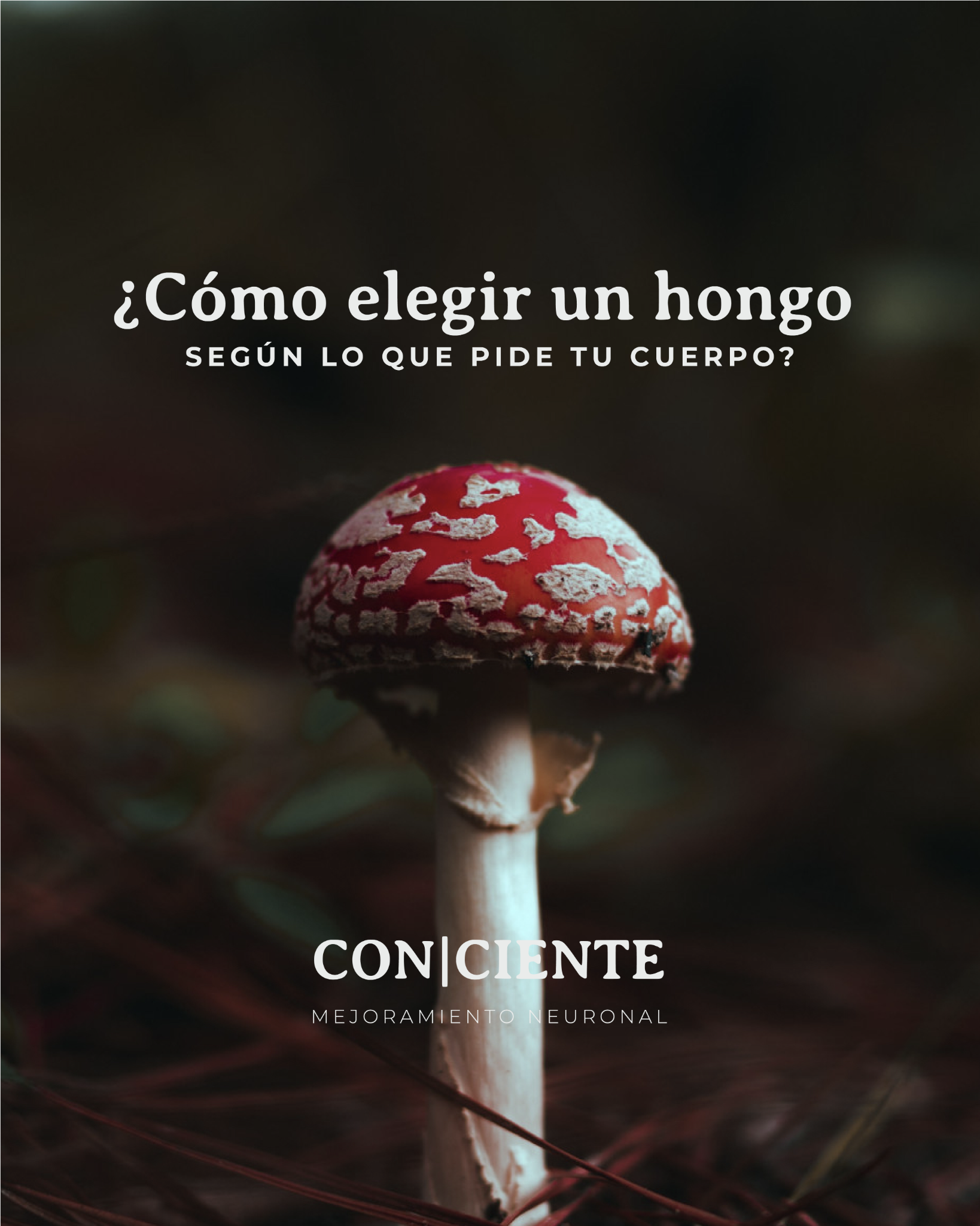 Ciente Natural Facebook ad: Escuchar al cuerpo es una forma de cuidado.