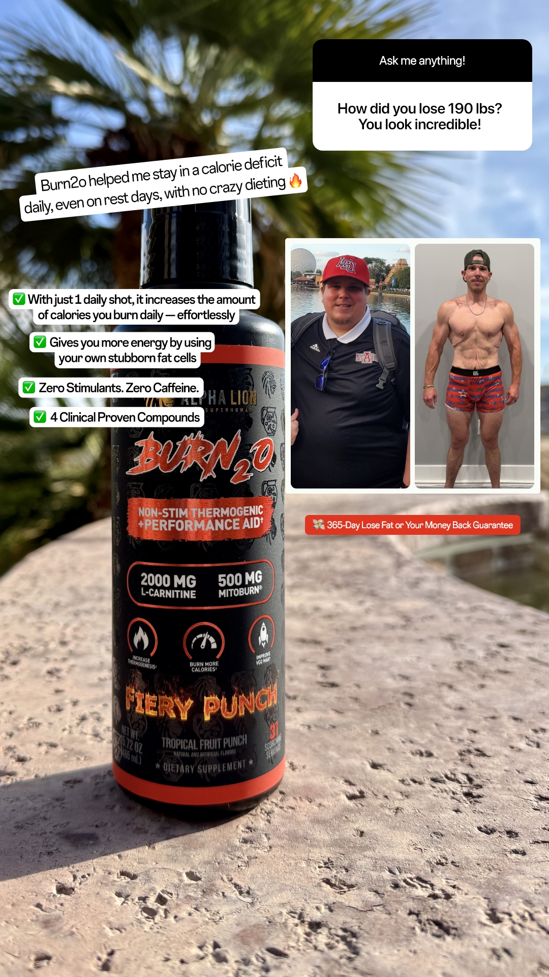 Alpha Lion Facebook ad