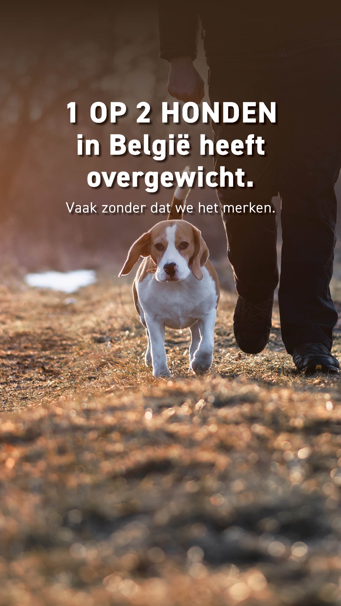 Tom&Co België Facebook ad
