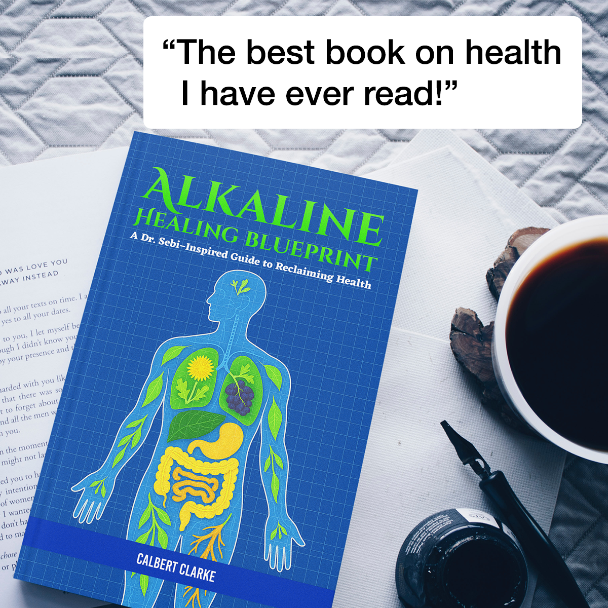 Dr Sebi Alkaline Healing Facebook ad