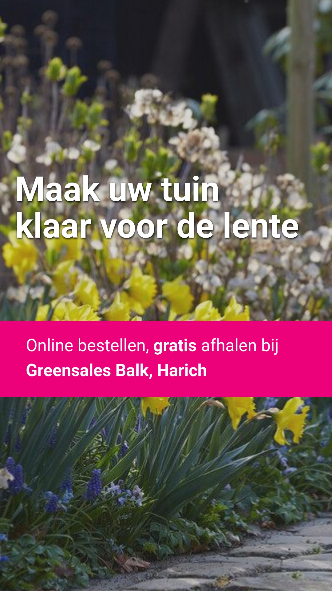 Directplant Facebook ad